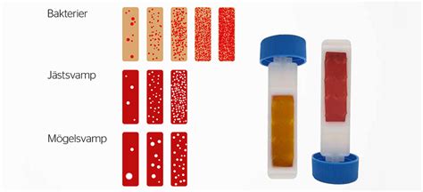 Underhåll och hantering av skärvätskor/system: FUCHS